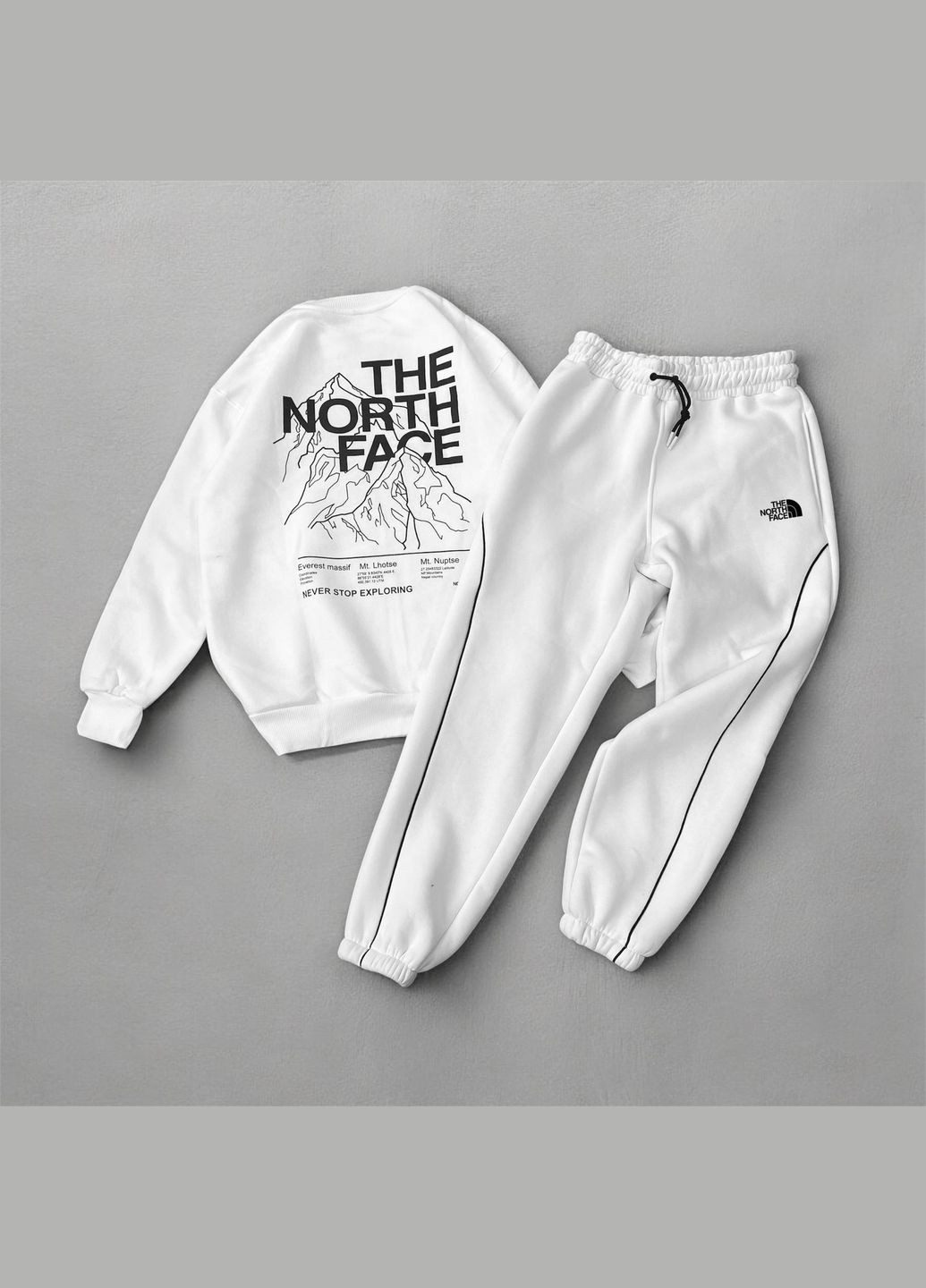 Стильный мужской спортивный костюм The North Face белый No Brand (316684286)