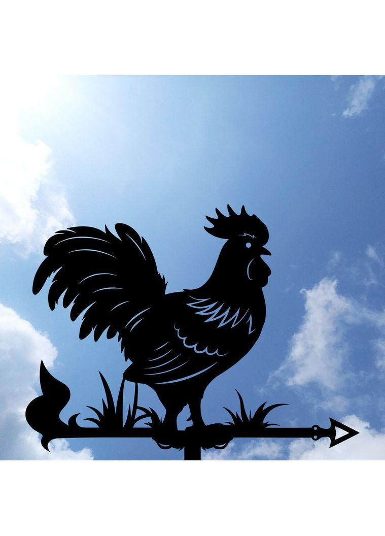 Флюгер на дом Петух, Петушок, Когут, флюгер на крышу из металла 3 мм. No Brand (368896591)