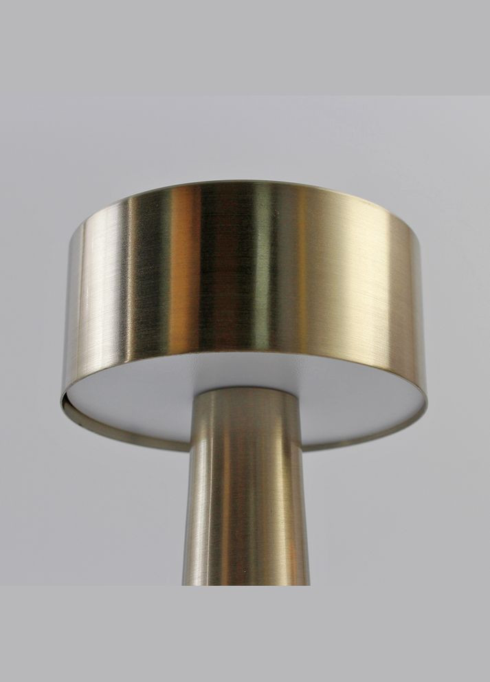 Настольная сенсорная светодиодная лампа 2Вт с аккумулятором 1200mA Золотая ESLLSE DOWN LIGHT (292731709)