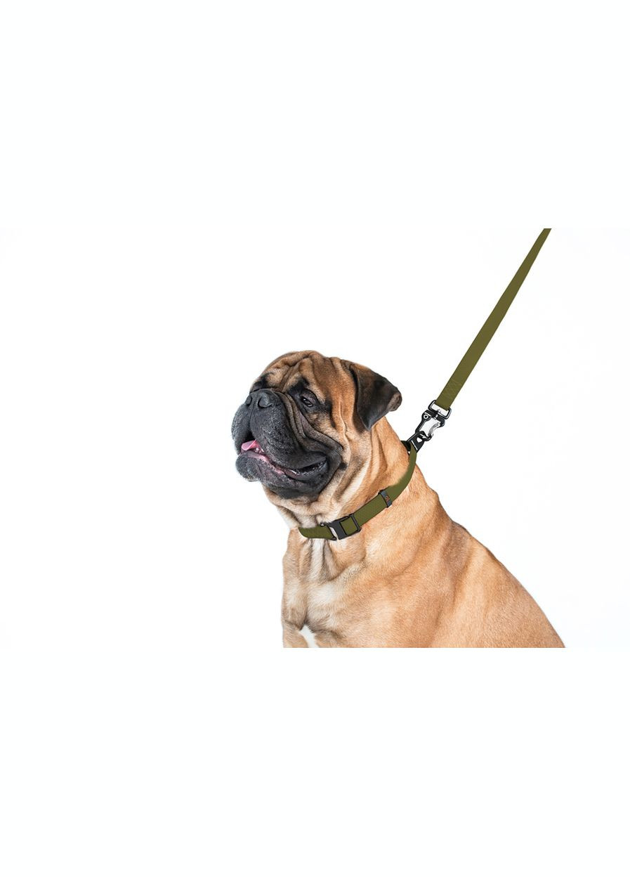 Повідець, Ш 25 мм, Дов 120 см, хакі Evolutor (351862938)