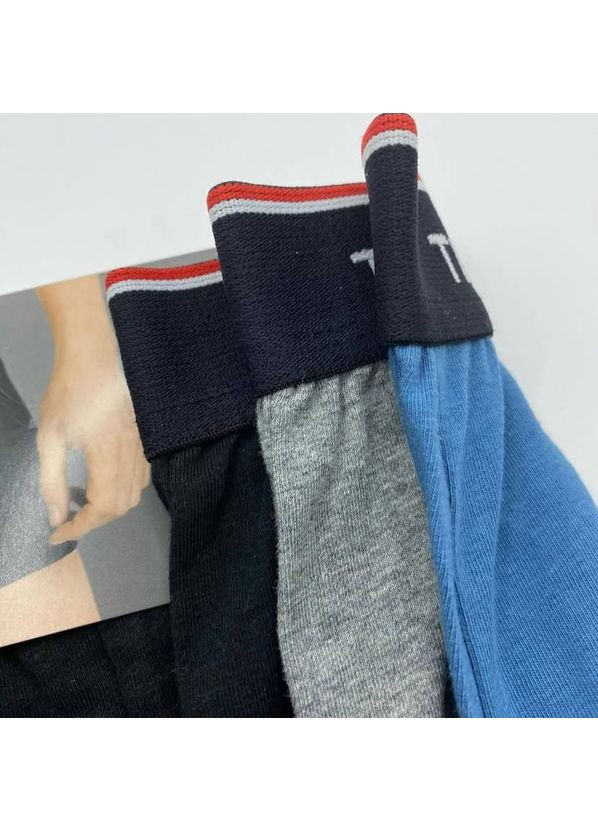 Набор мужских трусов True Style боксери (349817963)