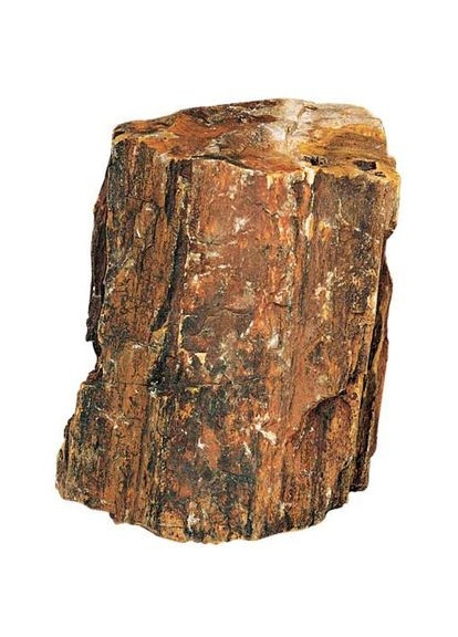 Декоративный природный камень Petrified Wood L 2.2-4кг (40688) Hobby (322711772)