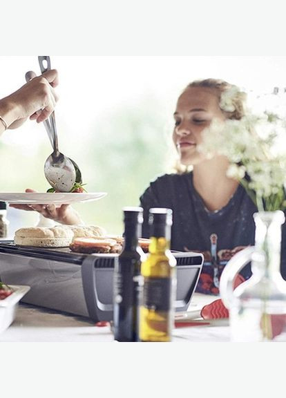 Гриль вугільний Aurora Grey 1364К Enders (316628404)