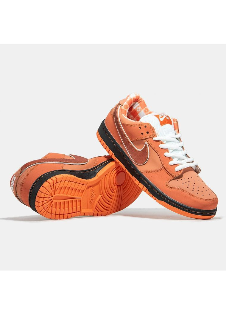 КРОСІВКИ ЖІНОЧІ NIKE CONCEPTS X SB DUNK LOW ORANGE LOBSTER НАЙК No Brand білі демісезони (367167925)