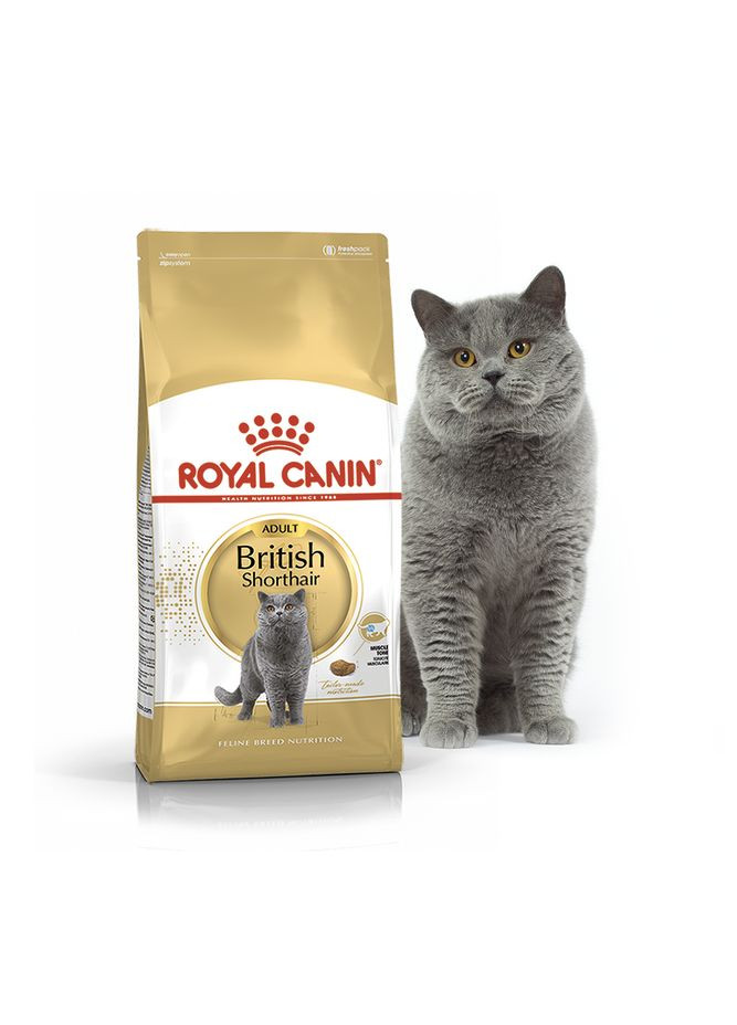 Сухий корм для дорослих котів породи британська короткошорстна British Shorthair Adult 10 кг 2557100 Royal Canin (266274142)