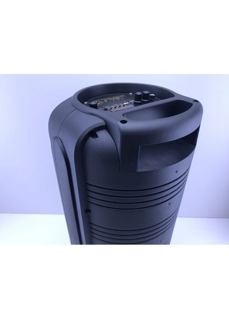 Портативна колонка Bluetooth RX-8228 з Bluetooth FM-радіо мікрофоном для караоке та 8 LED-підсвічуванням 60 Вт No Brand (361851584)