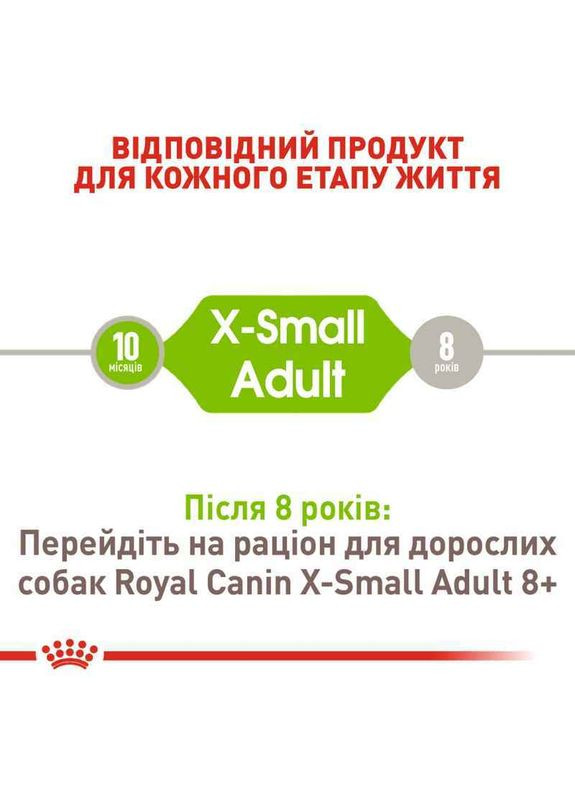 Сухой корм X-Small Adult для собак миниатюрных пород от 10 месяцев 0,5 кг Royal Canin (280901510)