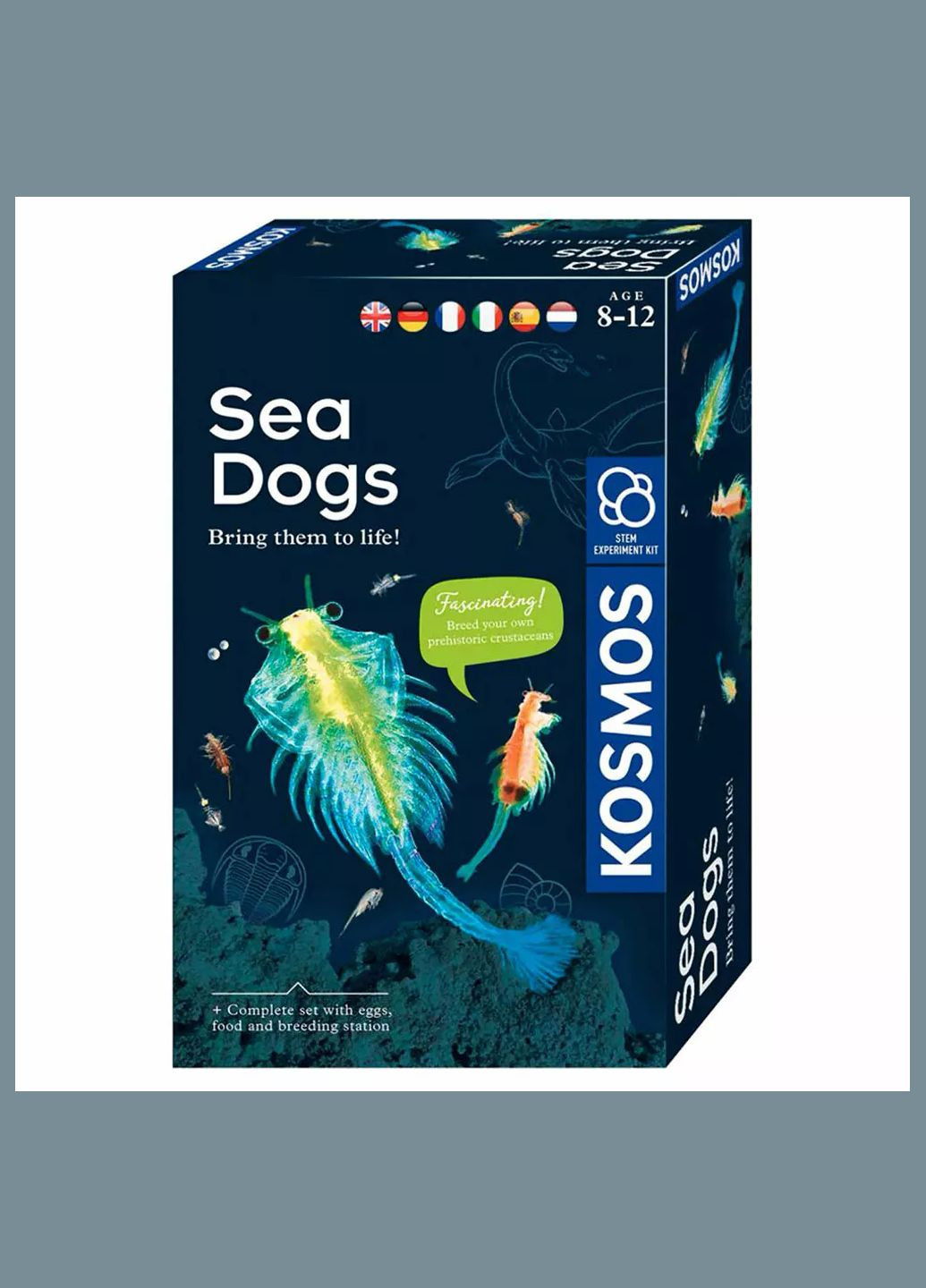 Набор для исследования Морские рачки (616779) Kosmos (333252959)