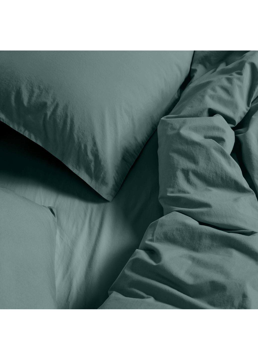 Євро наволочка з вареної бавовни 50х70 AGAVE (4822052415566) Cosas (367914272)