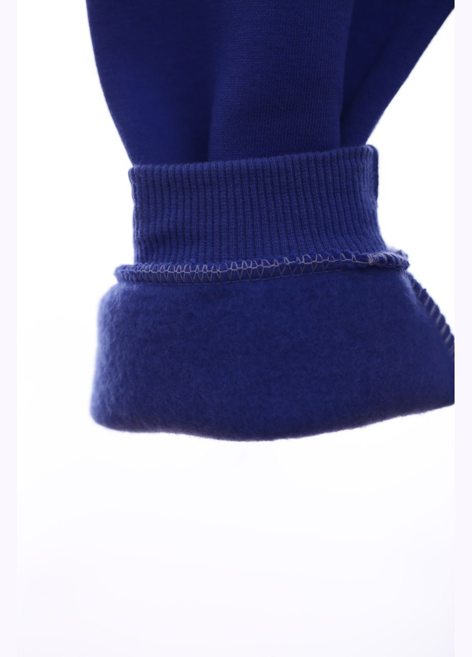 Блакитний демісезонний костюм на флісі для хлопчика трикотажний sk-8 блакитний 74 см (41709) Enzo Minix