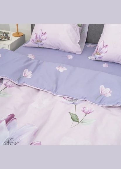 Комплект постельного белья полуторный ранфорс 24346 100% хлопок Viluta (342116421)