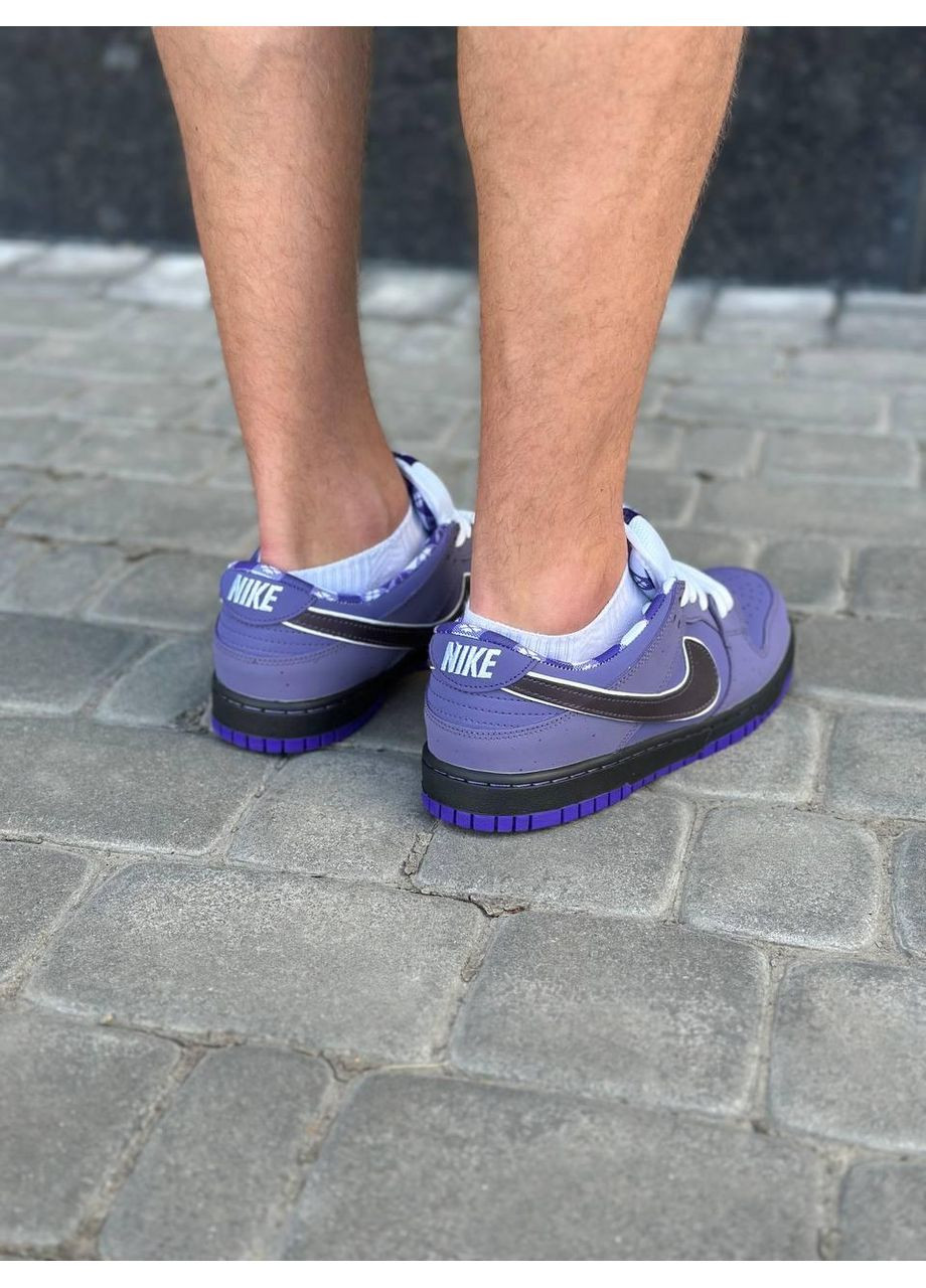 Фіолетові Осінні кросівки чоловічі nike sb dunk low concepts purple lobster найк сб данк No Brand