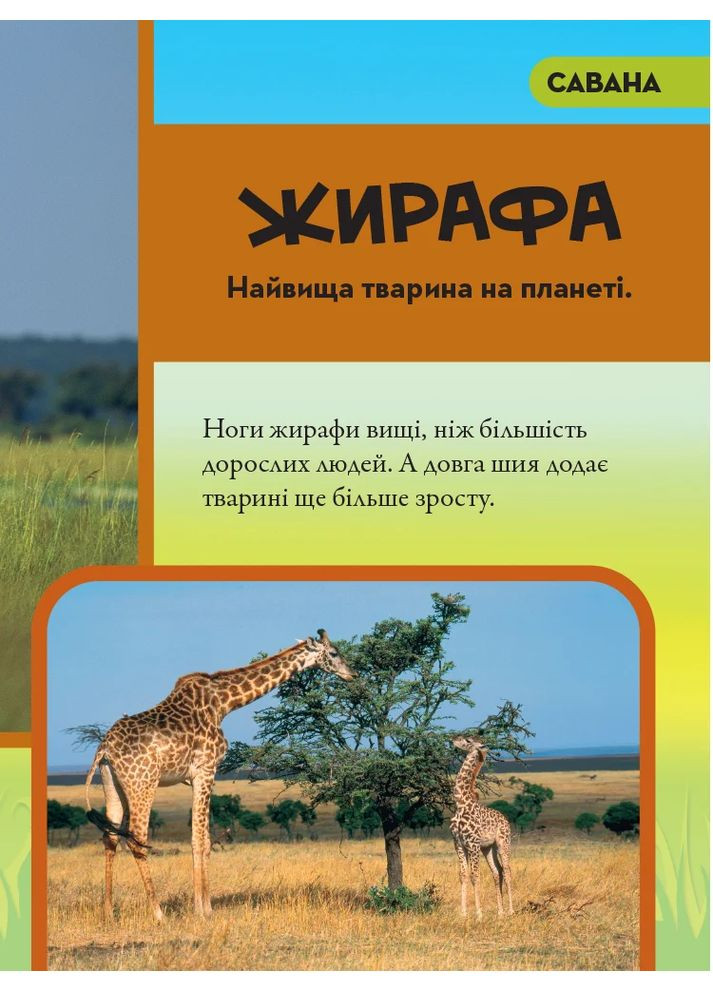 National Geographic. Моя перша енциклопедія. Тварини Видавництво "Егмонт Україна" (370151946)