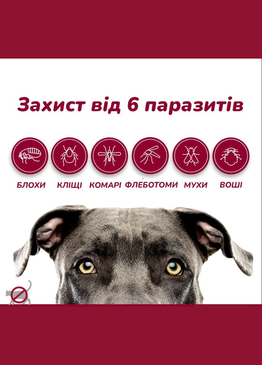 Краплі проти зовнішніх паразитів для собак Advantix від 10 до 25 кг ЦІНА ЗА 1 ШТ 85910426 Elanco (289869683)