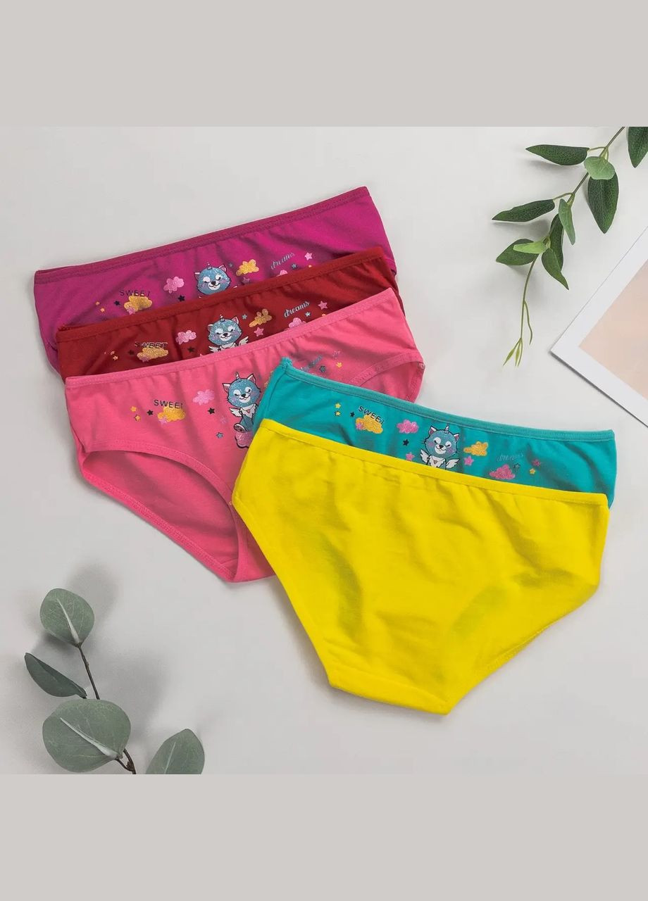 Трусики для дівчаток, бавовняні — набір із 5 штук Nicoletta Трусики (342119798)