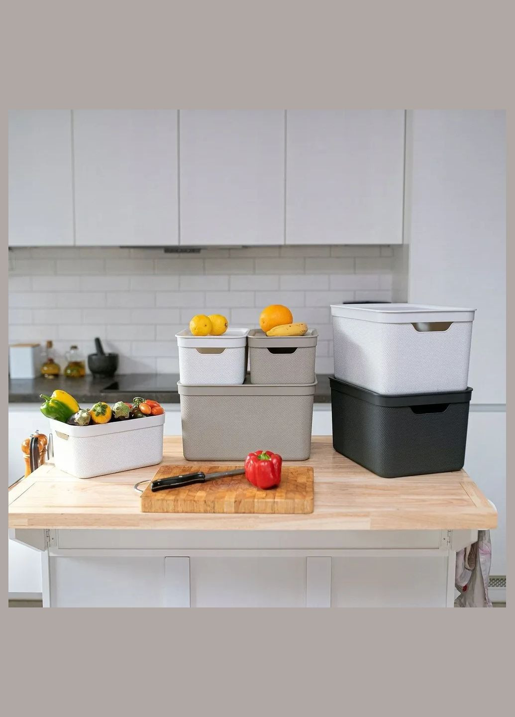 Контейнер для хранения вещей с крышкой Jive 5 л (10522) Rotho (334713624)