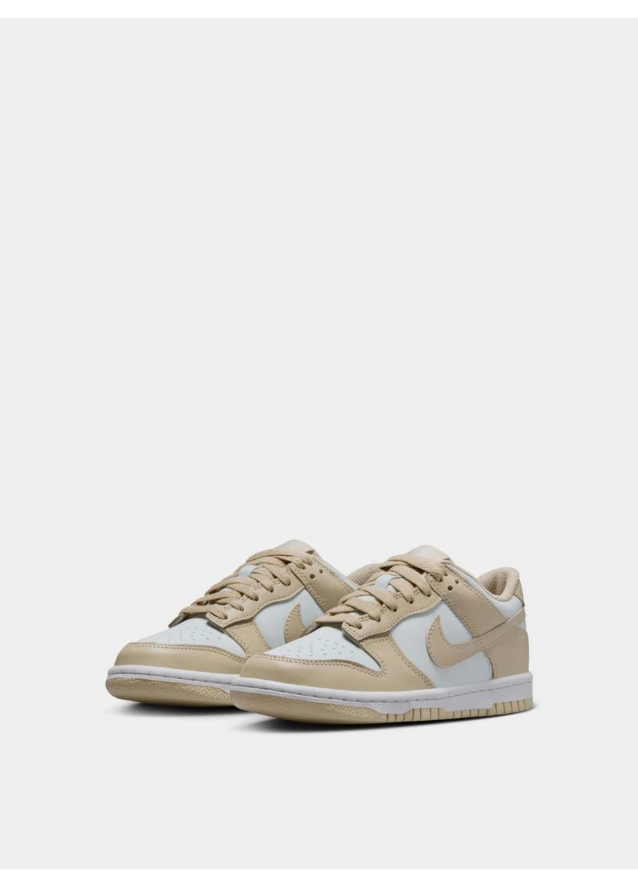 Кросівки DUNK LOW (GS) FB9109-200 Nike (386083121)