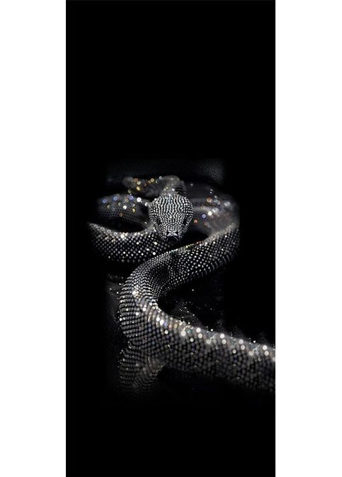 Наклейки на стойки дверей авто 3D TUNING STUDIO Змея 500х220х0.15мм=2штуки No Brand (362498356)