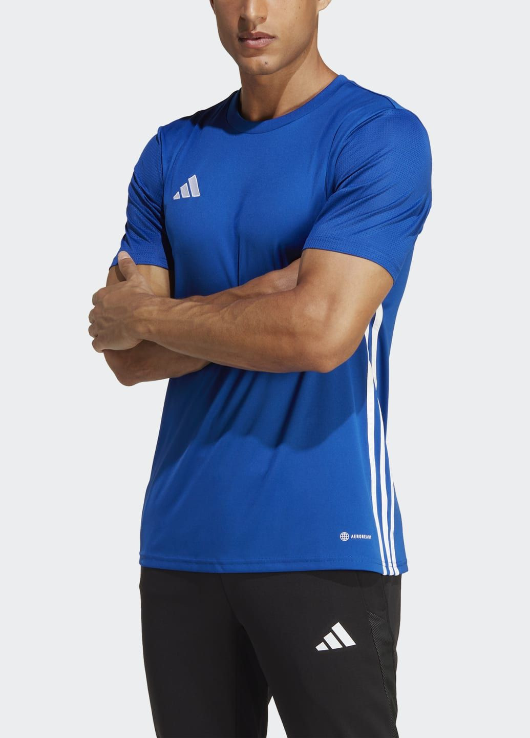 Синий демисезонный спортивный лонгслив adidas с логотипом