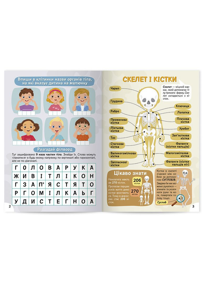 Изучаем строение тела 6+ No Brand (359374900)