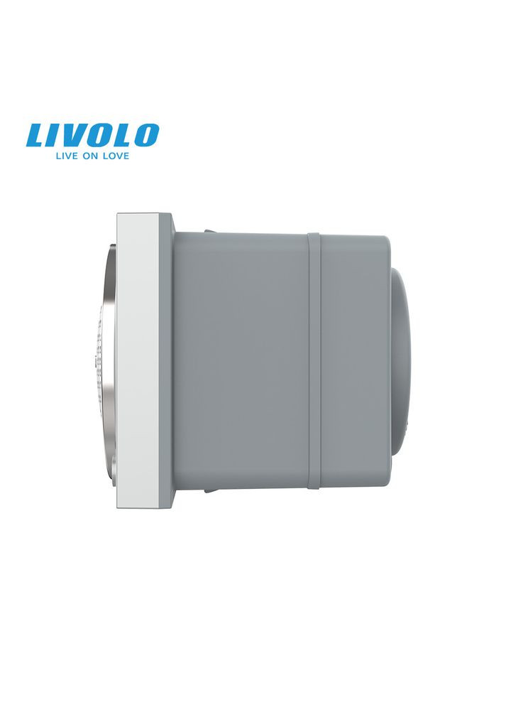Механізм Bluetooth колонка сірий (VL-FCF-2IP) Livolo (371777129)