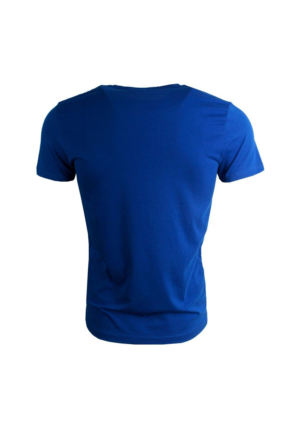 Синяя мужская футболка Fine Look