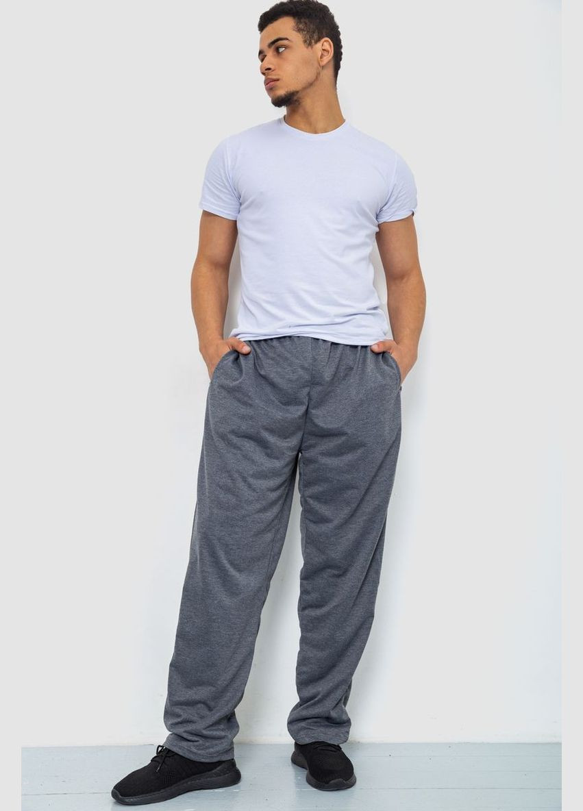 Серые спортивные демисезонные брюки Ager