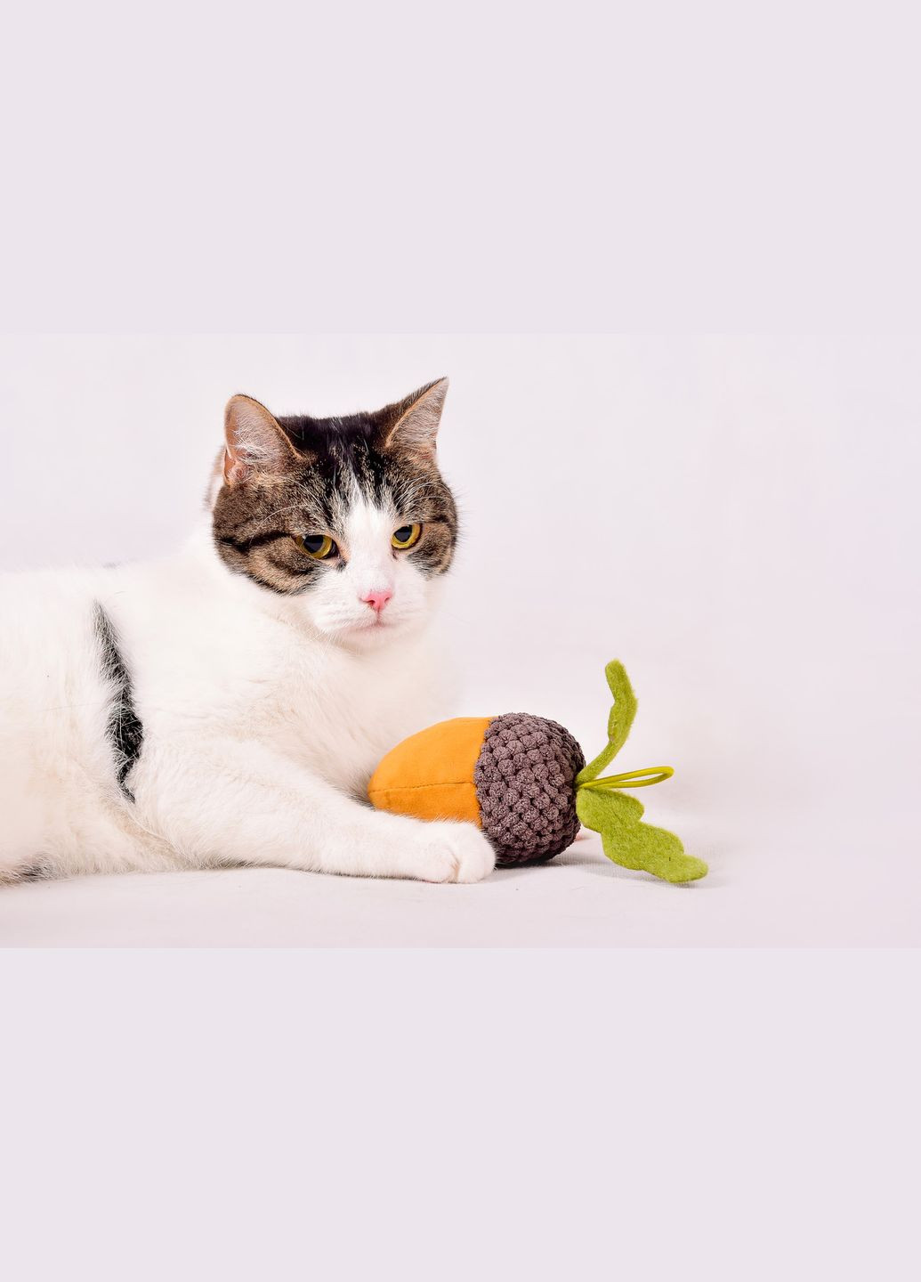 Игрушка для животных "Желудь" 9,5 см Kareline (339075090)