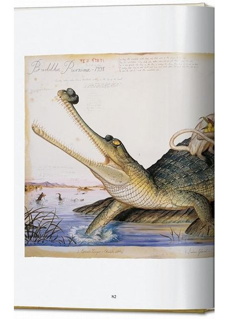 Книга Walton Ford. 40th Ed. (9783836595742) Taschen (364656353)