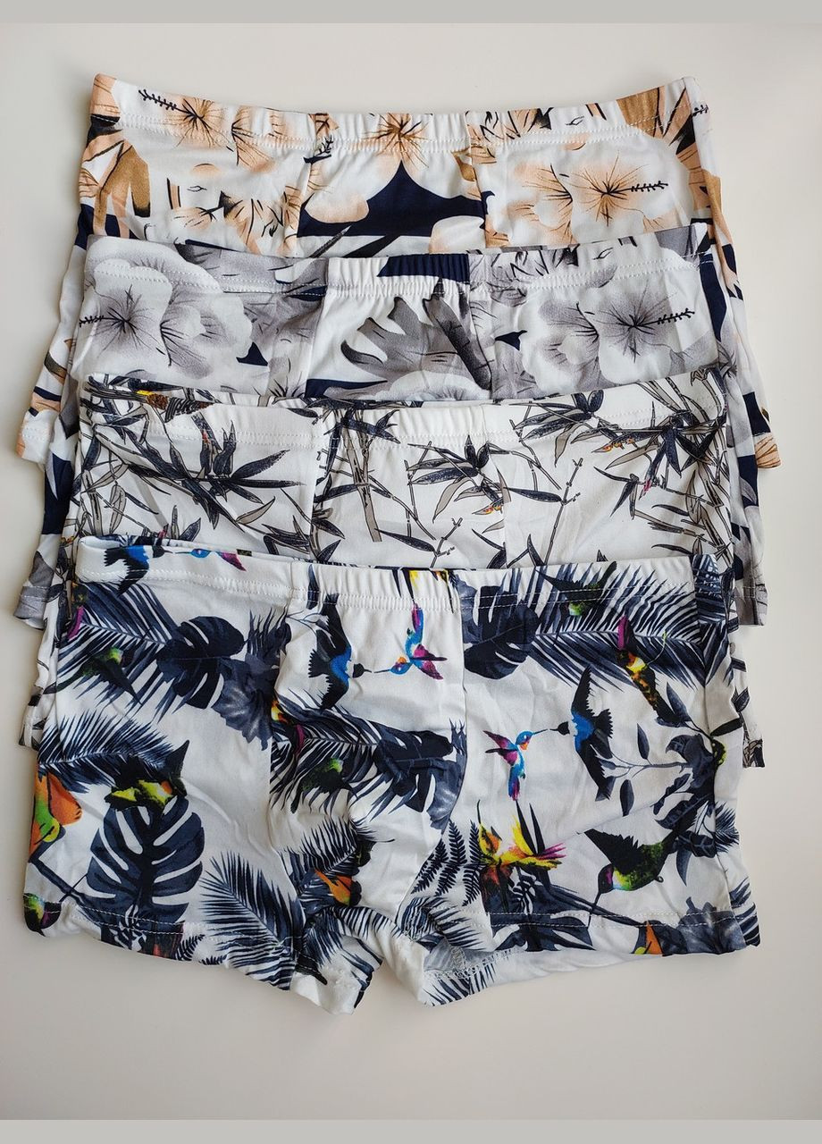 Набір комплект чоловічі труси боксери шорти Honey Fashion Accessories S (2-178) No Brand (313286170)