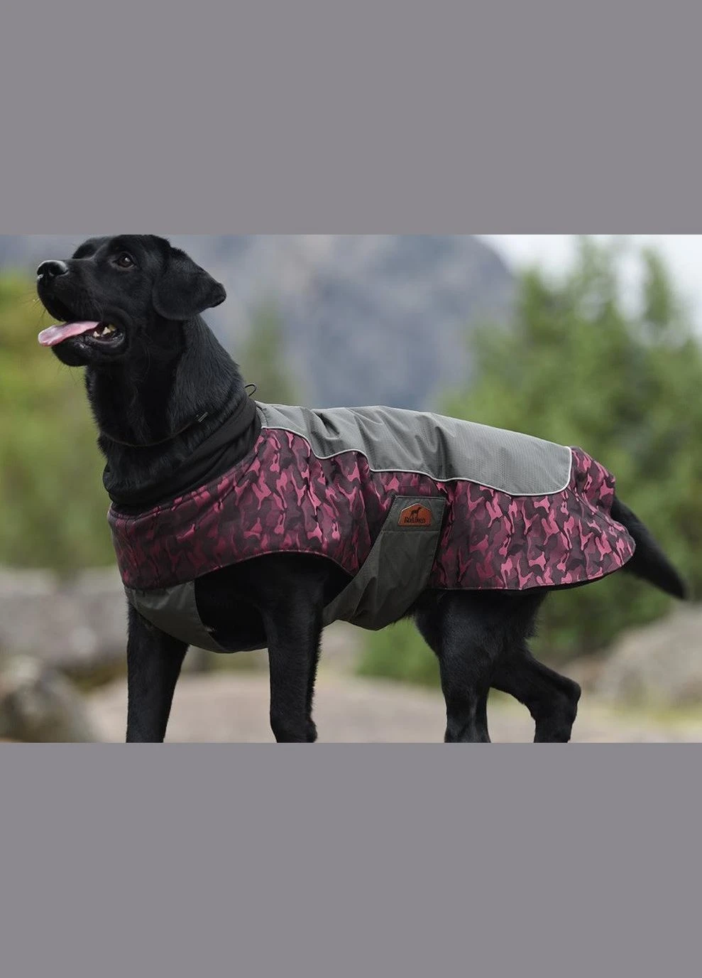 Куртка для собак (БлекДогги) VC14-JK023 XL, BlackDoggy (297567380)