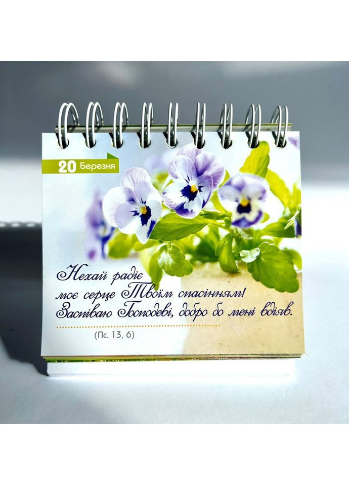 365 дней роста в вере Свічадо (354253394)