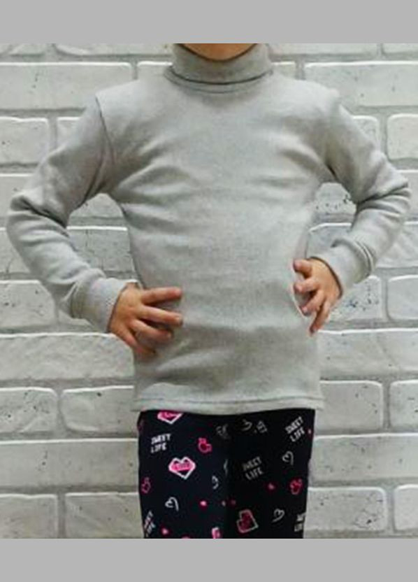 Дитяча базова тепла водолазка однотонна сіра, рубчик начіс No Brand (315351005)