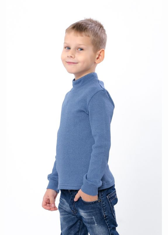 Водолазка дитяча HC (h001-6068-021) No Brand (311196111)