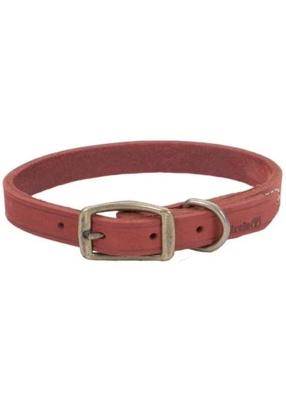 Шкіряний нашийник для собак Rustic 2 см х 45 см Бордовий (76484311604) Coastal (322869891)