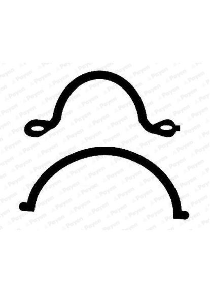 Прокладка автомобільна Payen (366210720)