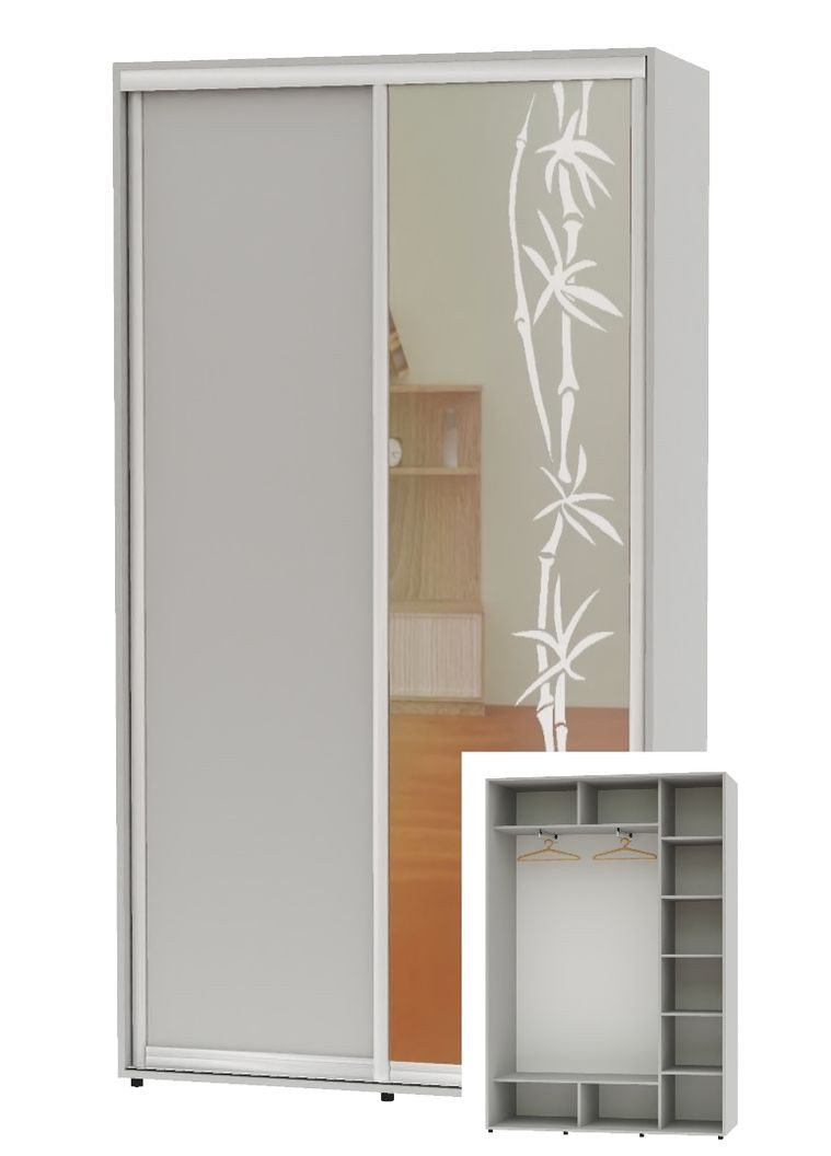 Шафа-купе дводверна 160*45*250 Сірий ДСП/Дзеркало з піскострумним малюнком Алекса (360455947)
