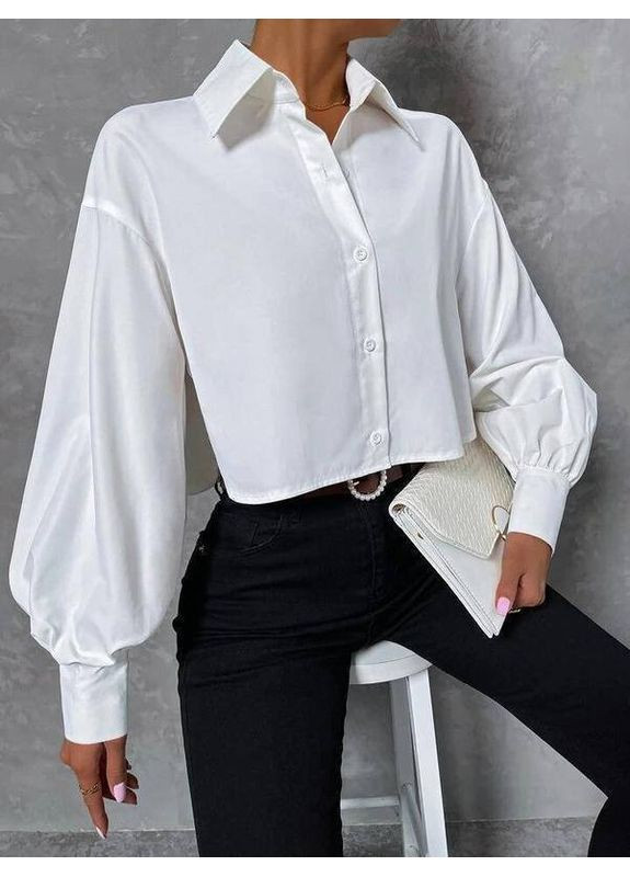 Белая повседневный рубашка однотонная DK/DL Мода без кордонів с длинным рукавом