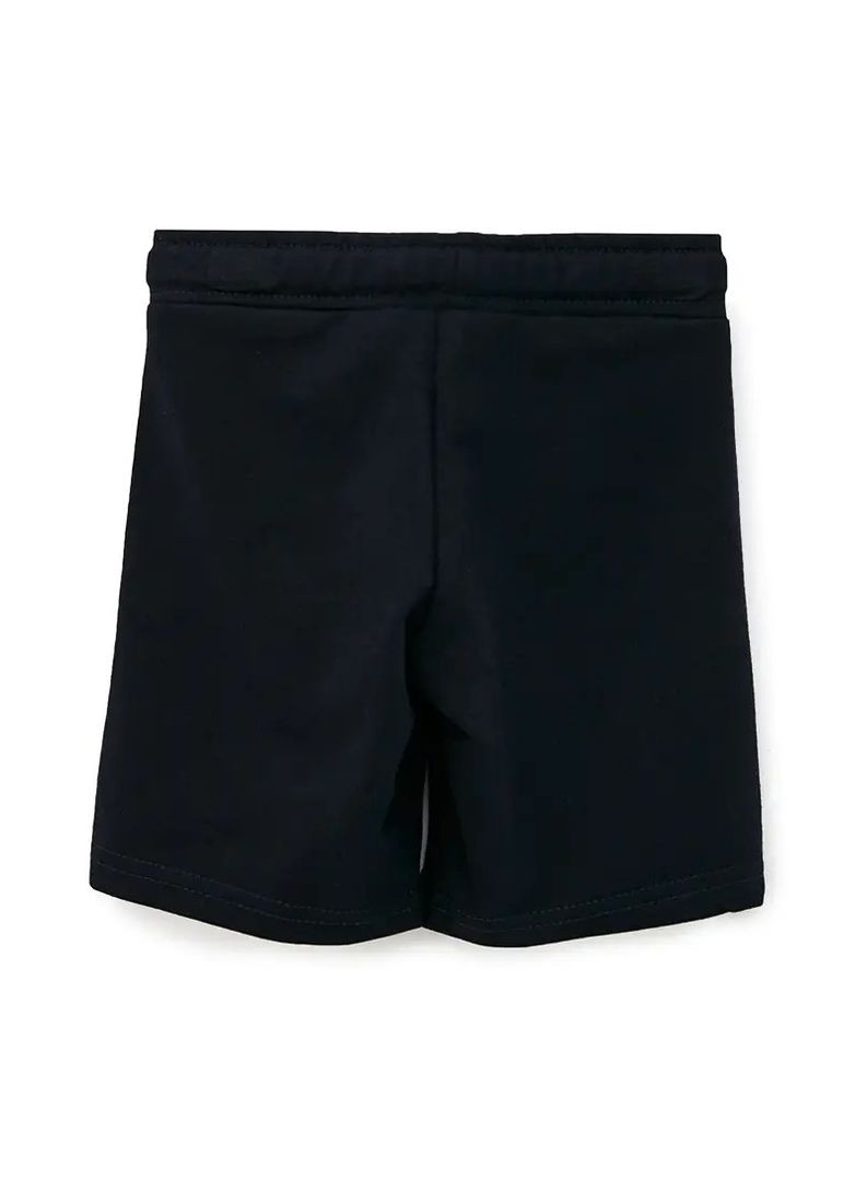 Шорти для хлопців Роза (325779685)