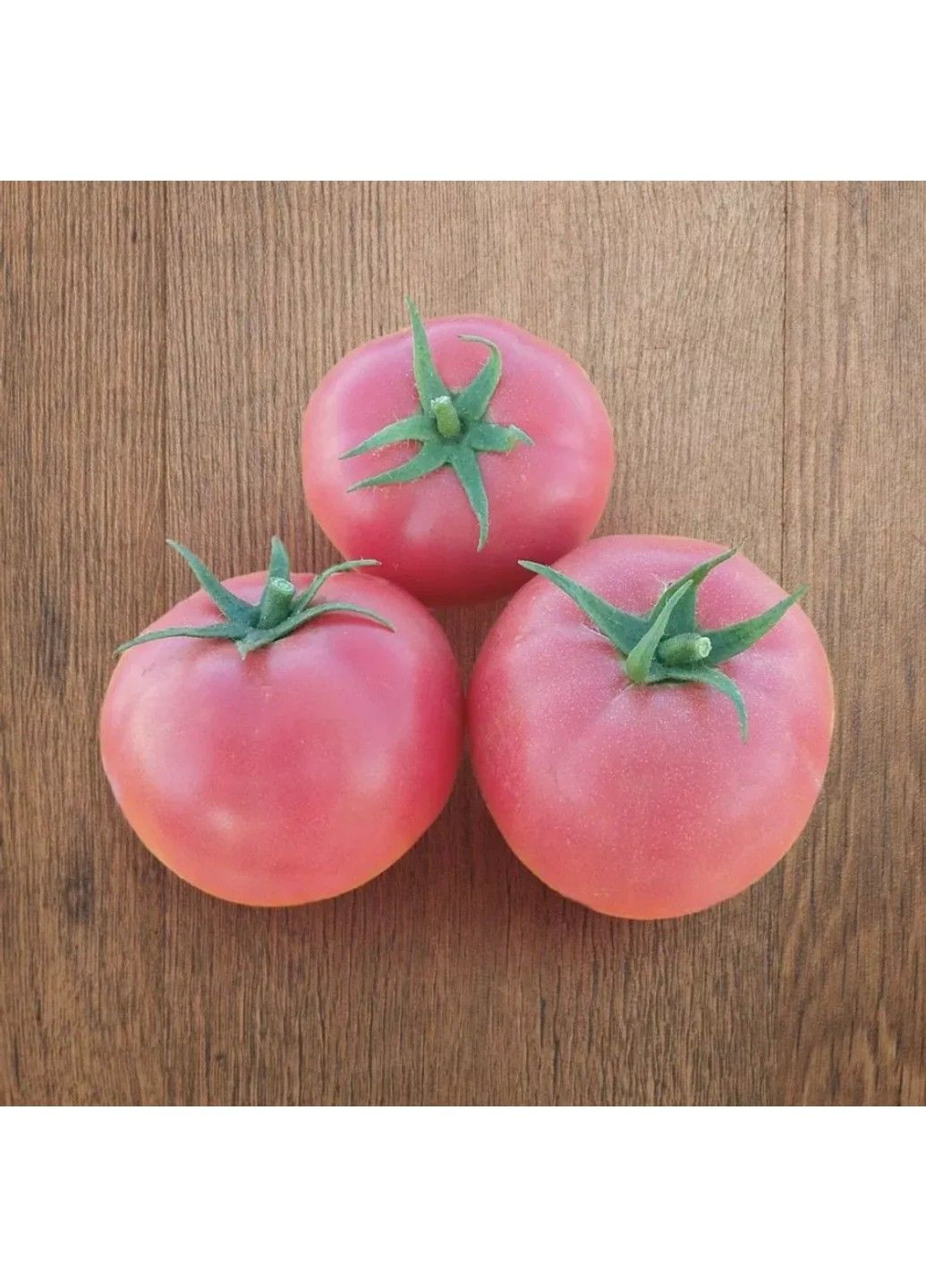 Семена томата Хапинет F1 Syngenta (331900648)