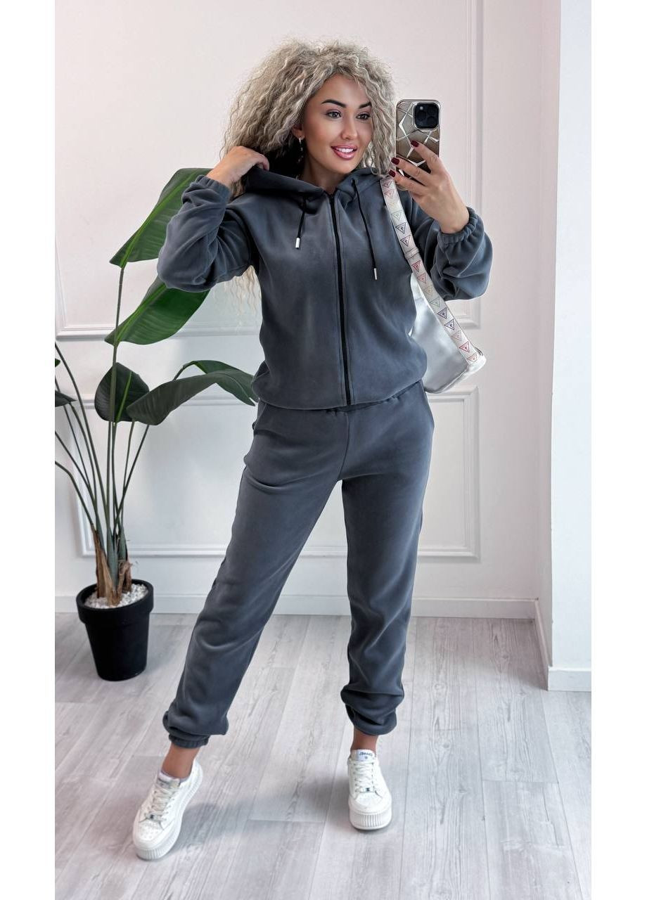 Костюм 005/1 фліс Полар,штани та кофта на блискавці з капюшоном Україна (367930623)