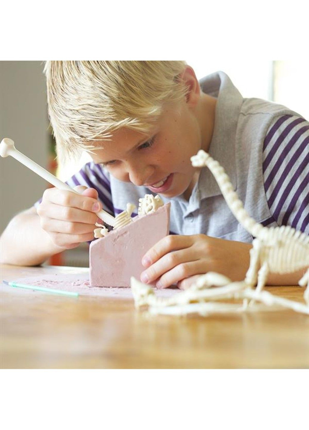 Набір для розкопок Скелет трицератопса (00-03228) 4M (335055502)