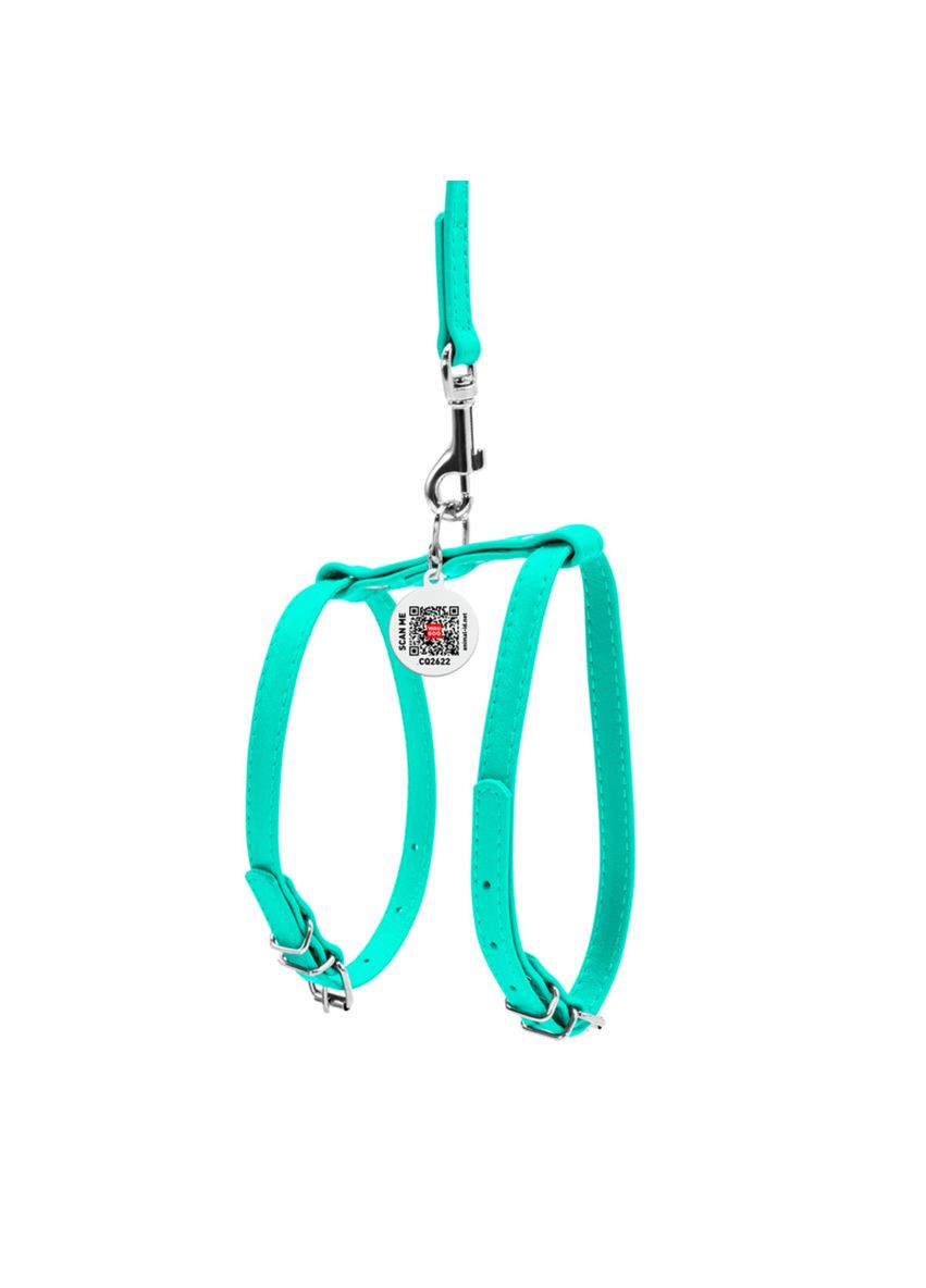 Шлея с поводком для собак кожаная Glamour c QR паспортом, Ш 9 мм, А 20-30 см, В 30-40 см ментоловый WAUDOG (332879882)
