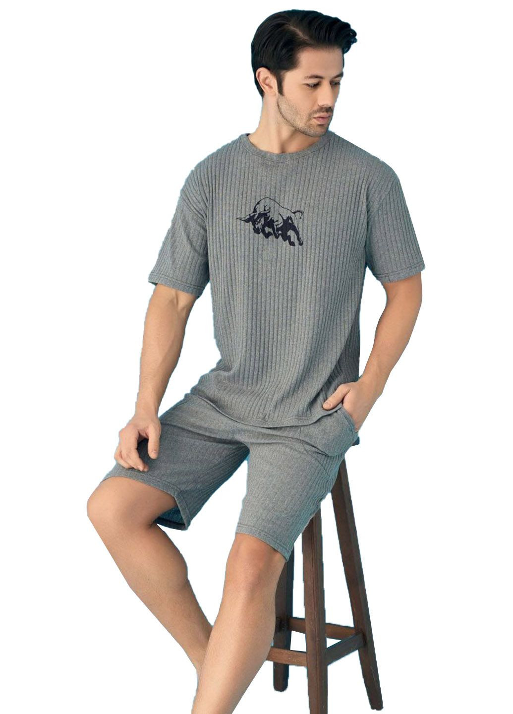 Пижама легкая из тонкого трикотажа шорты футболка AYANS (294720140)