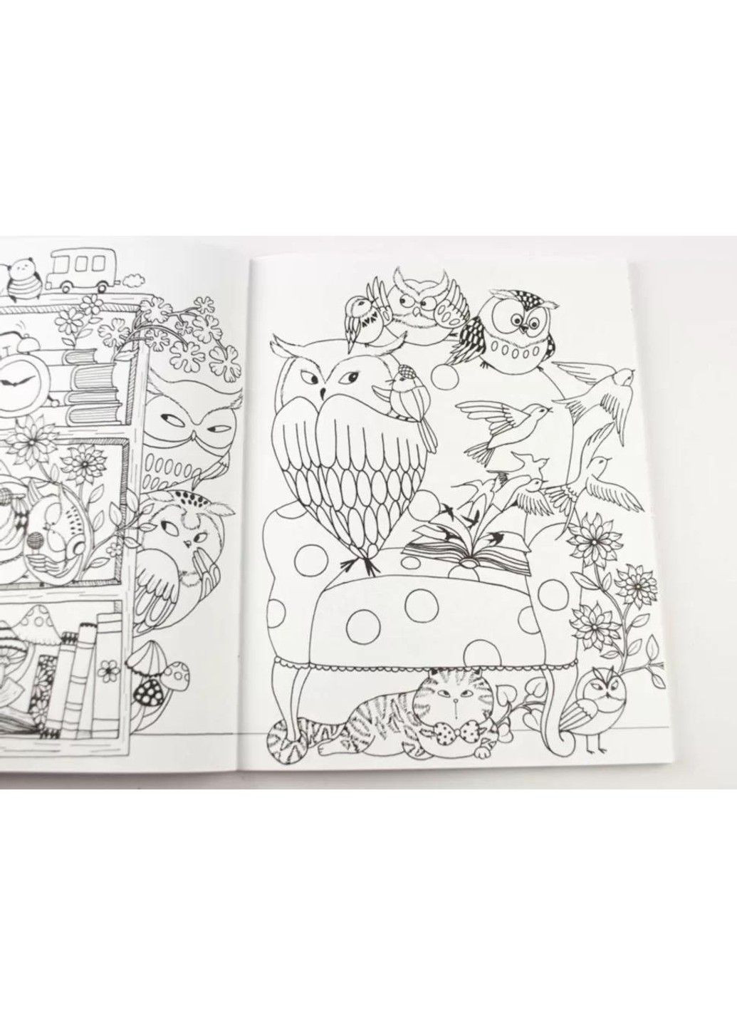 Раскраска Почти миллион сов. Лулу Майо Жорж (302671096)