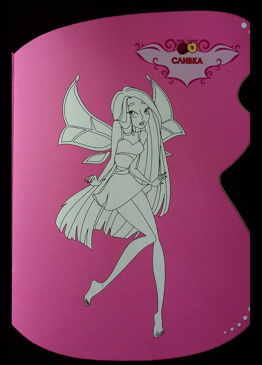 Книга для детей Садовые феи. Шевченко Ольга. Раскраска с наклейками (на украинском) Vivat (332665789)