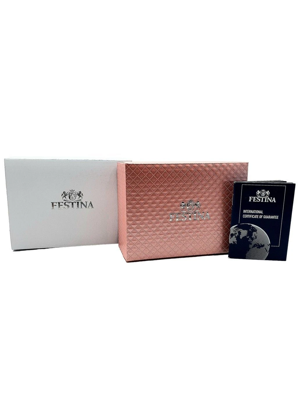 Часы F20011/3 Festina (392973912)