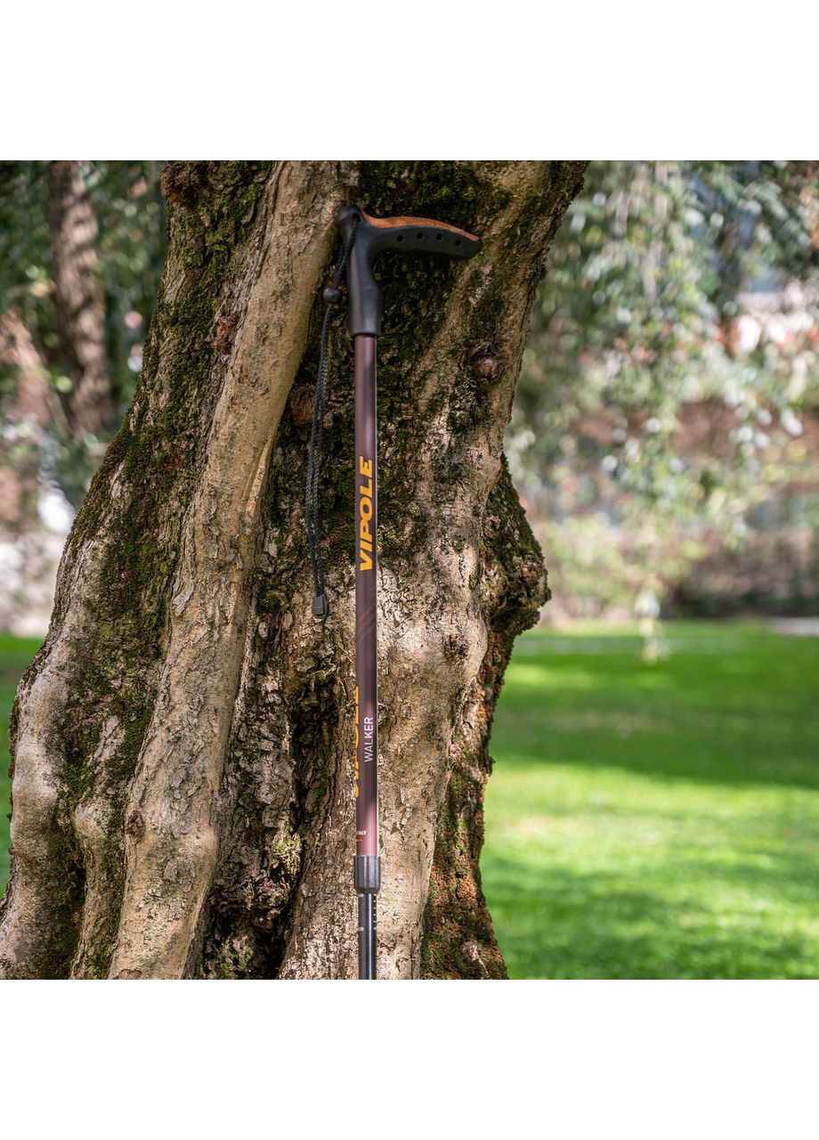 Палиця трекінгова Walker (S25 22) Vipole (373017930)