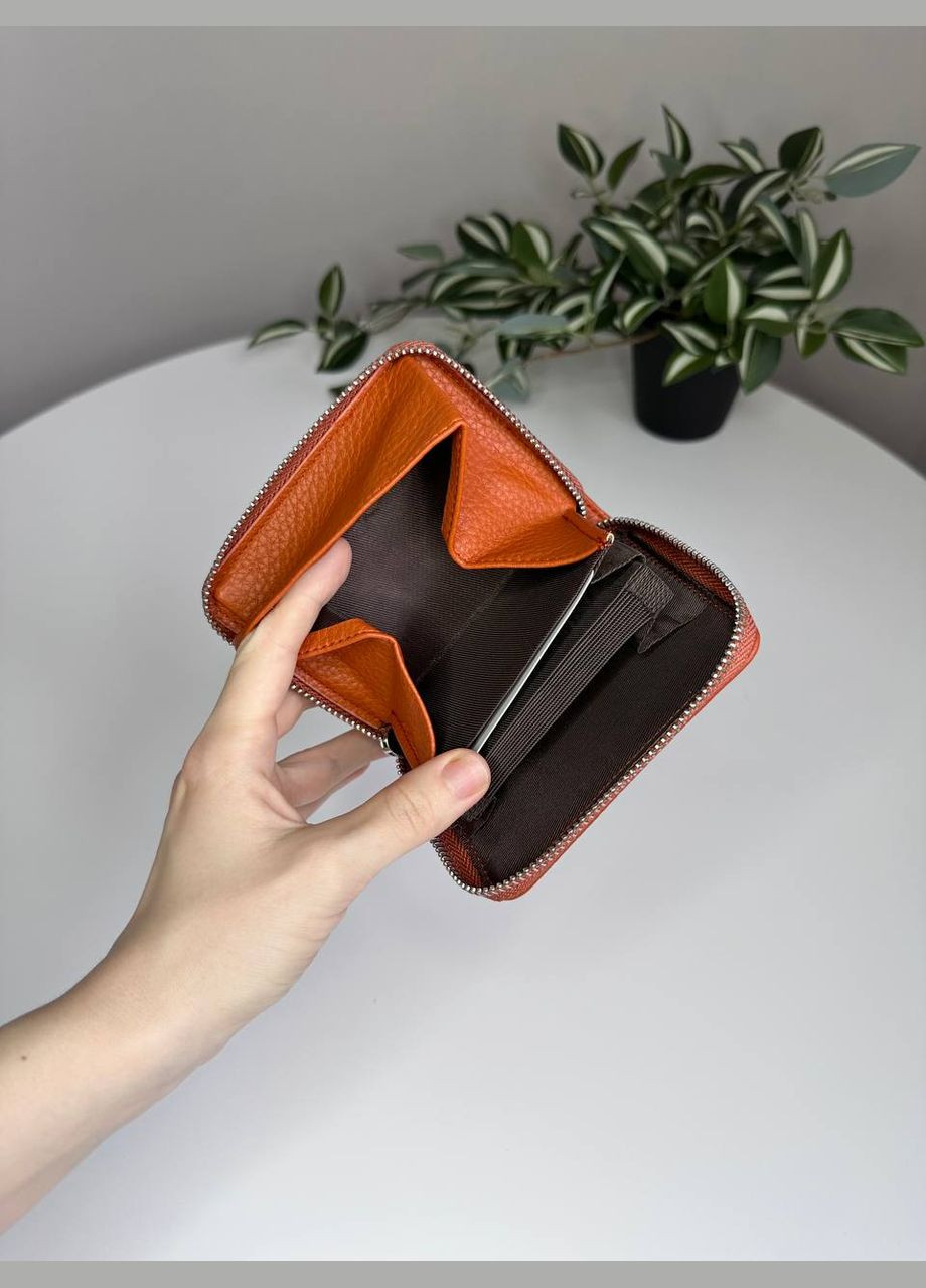 Женский картхолдер для 14 карт на змейке Saralyn (297791665)