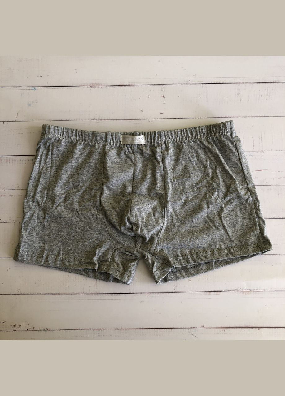 Набор комплект мужские трусы боксеры шорты Honey Fashion Accessories (2шт) S (2-171) No Brand (313286195)